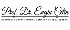 Prof. Dr. Engin Çetin 