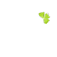 
WELCOME TO SOCAMI PRODUCTS