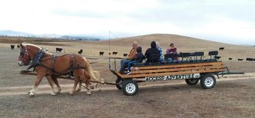 Access Adventure wagon for the disabled and friends