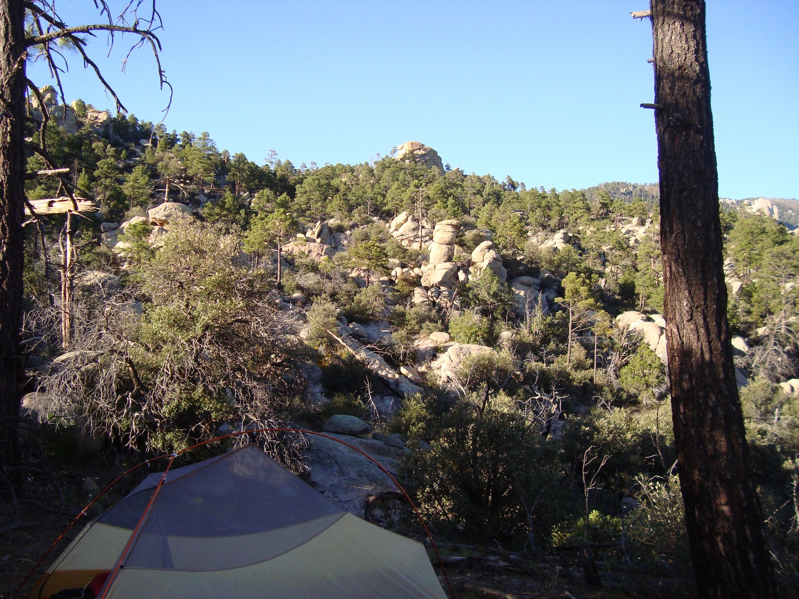 The Wilderness of Rocks