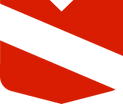 Mogul Home Inspection