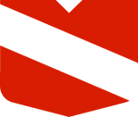 Mogul Home Inspection