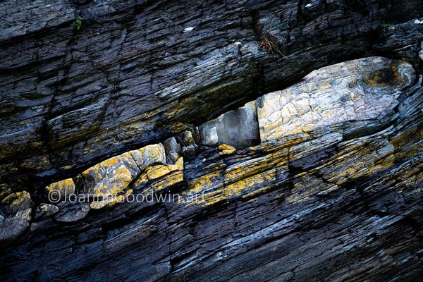 Slate Lichen Quartz

Amazing texture taken in North Wales 