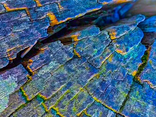 Old wooden and weathered bollard, along a seafront, enhanced with a blue filter