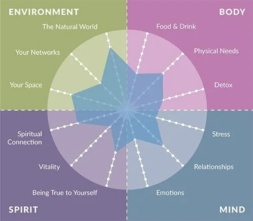 Picture of Health
Health creation programme
Health creation mentor
Holistic health mentor