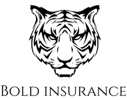 Jerry Molina Insurance