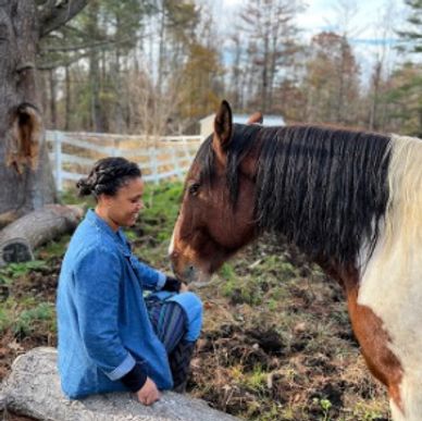 Woman sitting on a log interacting with a horse outdoors.
