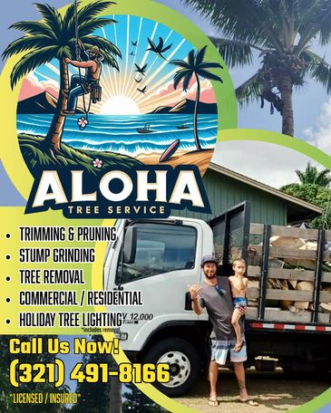 Aloha Tree Service offers professional tree care including trimming, removal, and holiday lighting in a tropical setting.