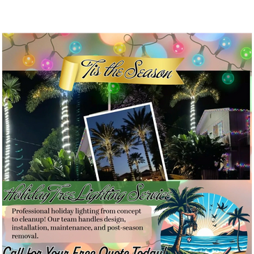 Holiday tree lighting service with professional design and installation for palm trees.