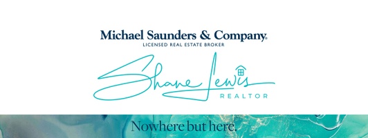 Shane Lewis Realtor