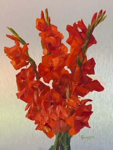 Red Gladiolus flowers