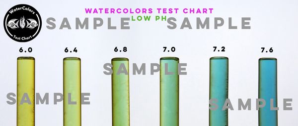 Sample (uncalibrated) image from the WaterColors Test Chart kit. 