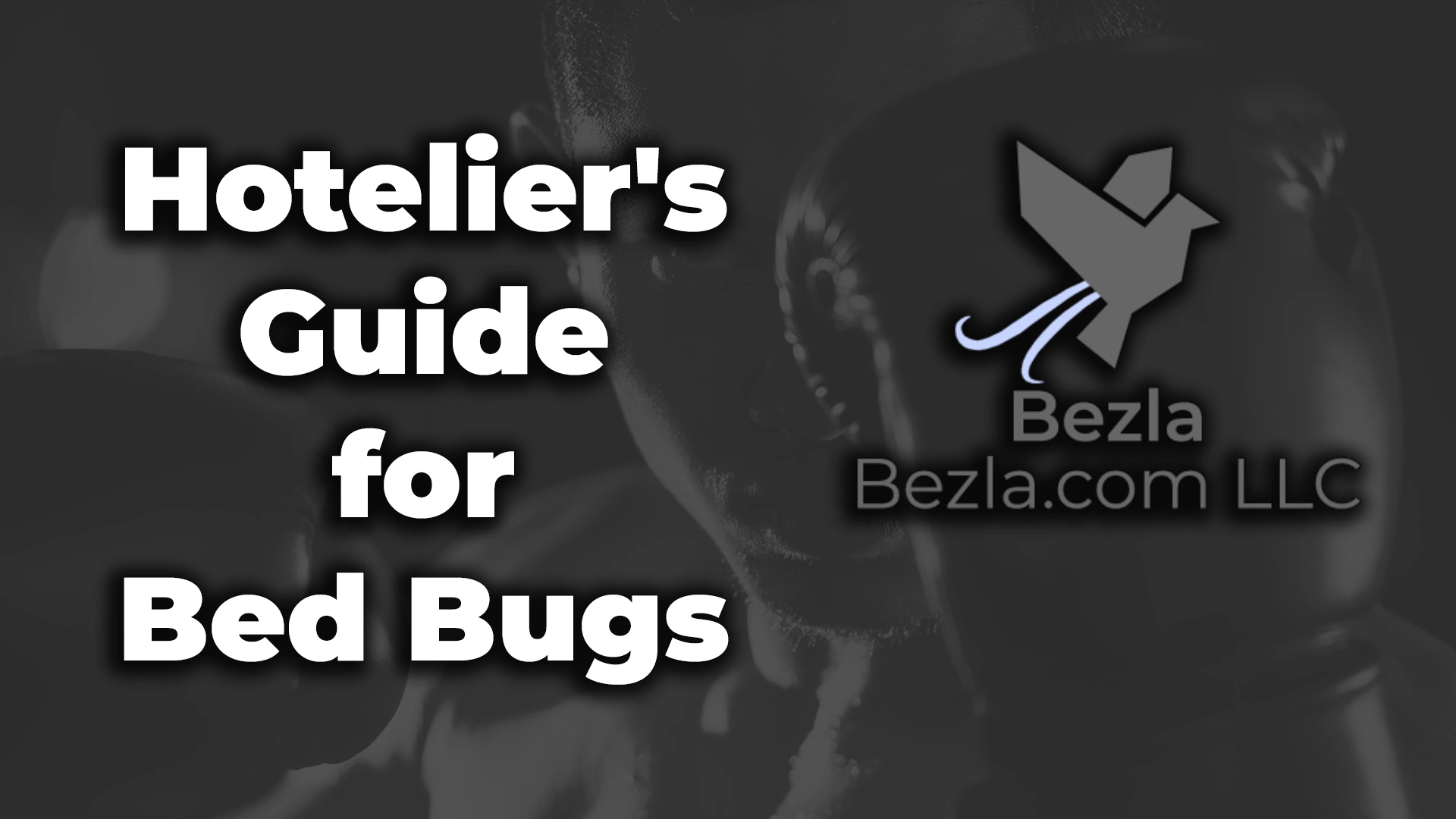 Hotelier's Guide for Bed Bugs Hotel Marketing