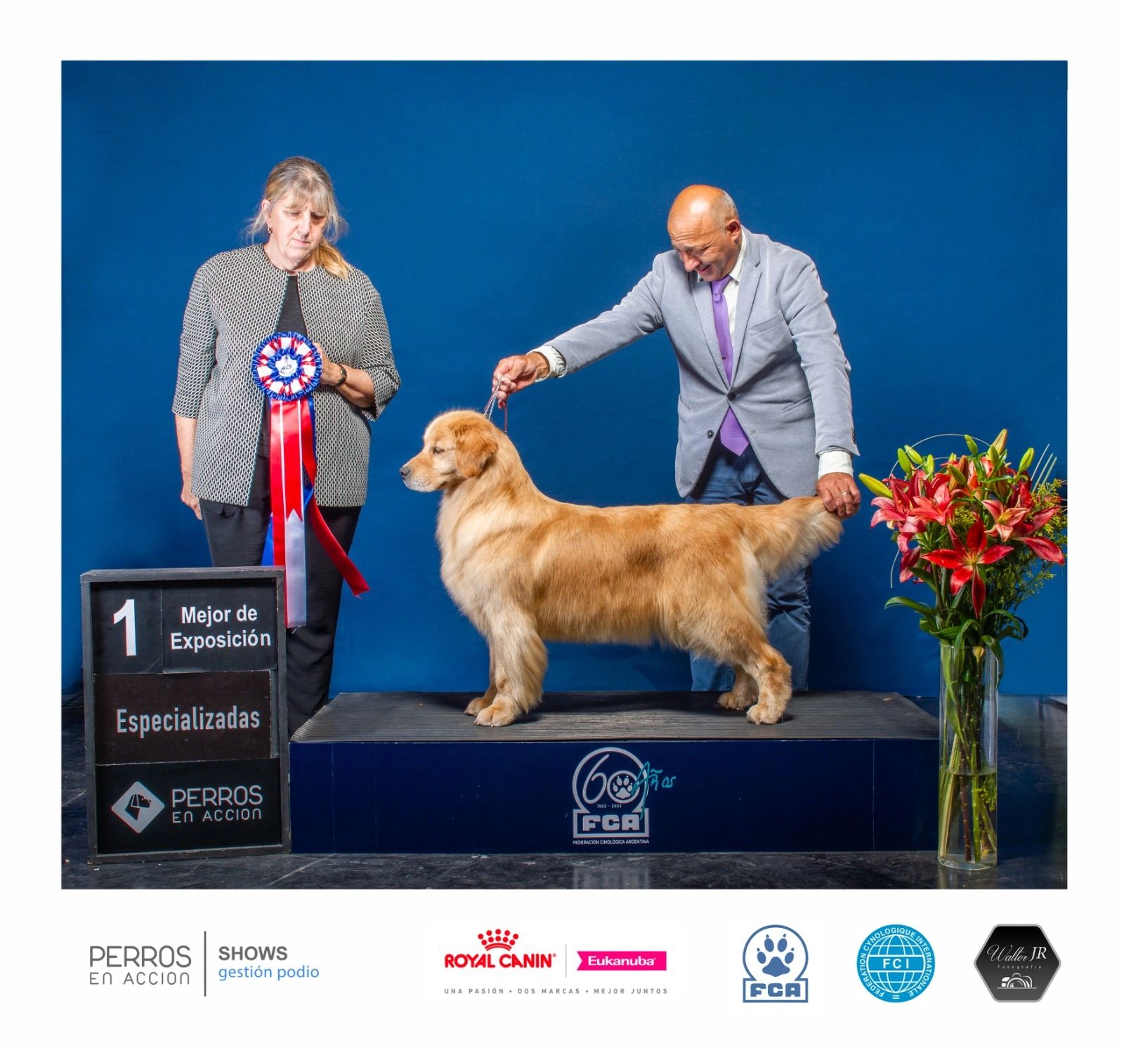 ジャケット・アウター SCENERITY Berken Golden Jumper Roberds Farm Golden Retrievers
