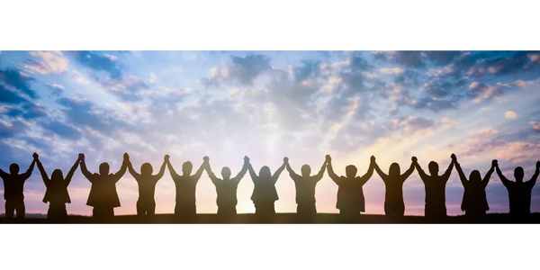 Working together to create your best website using our digital marketing solutions.