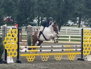 Equestrian rider mid-jump over an obstacle in a horse show.