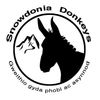 Snowdonia Donkeys logo