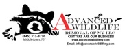 Advanced Wildlife 
Removal of NY LLC