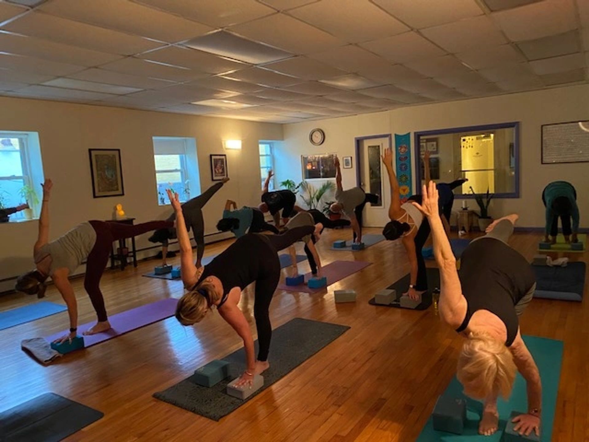 Yoga Sangha business photo