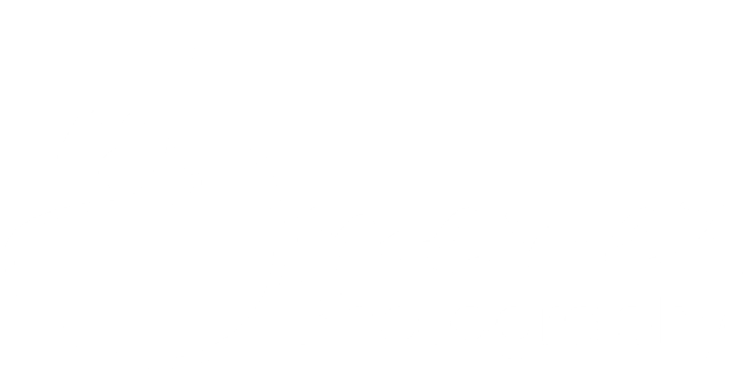 Aruba Photography: Wedding, Event & Portrait Photography