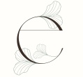 Evolution Salon Studios