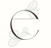 Evolution Salon Studios