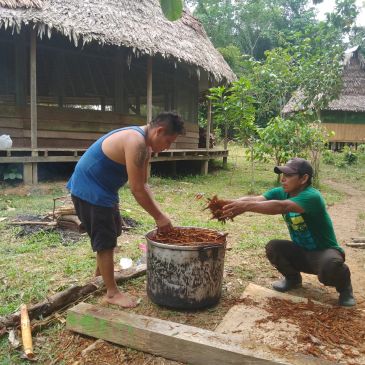 Dos hombres trabajan con tierra en un balde al aire libre.