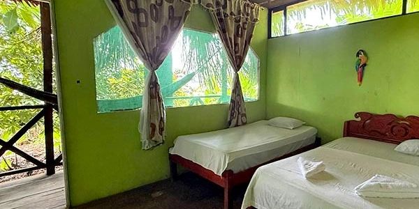Habitación con paredes verdes y dos camas.
