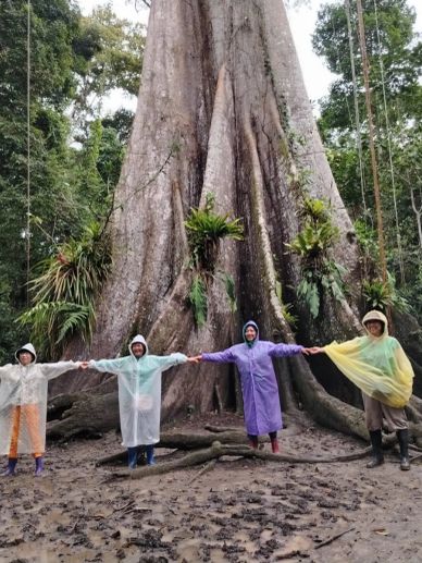 Personas unidas frente a un gran árbol en un bosque.