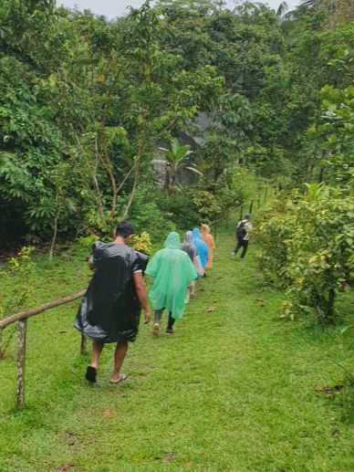 Personas caminando en un camino verde con ponchos.