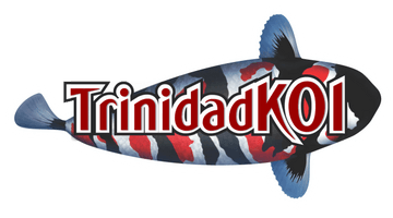 TrinidadKoi