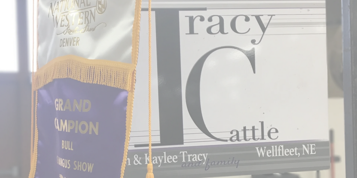 National Western Stock Show Champion Banner