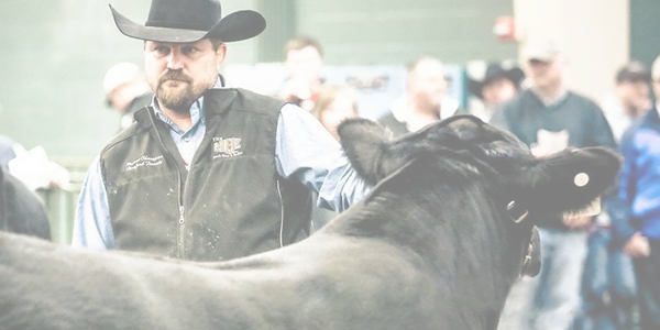Justin with his champion Angus bull at Nebraska Cattlemen's Classic