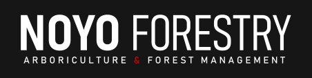 Noyo Forestry