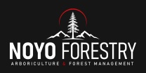 Noyo Forestry