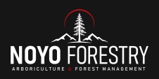 Noyo Forestry