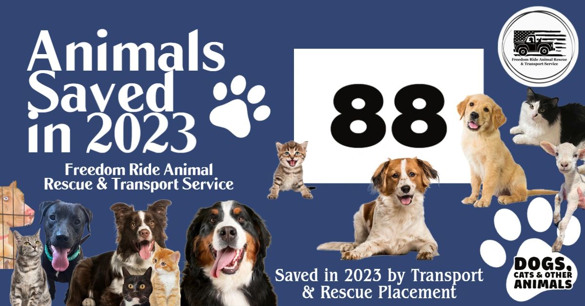 Freedom Ride Animal Rescue - Animal Rescue, Animal Transportation
