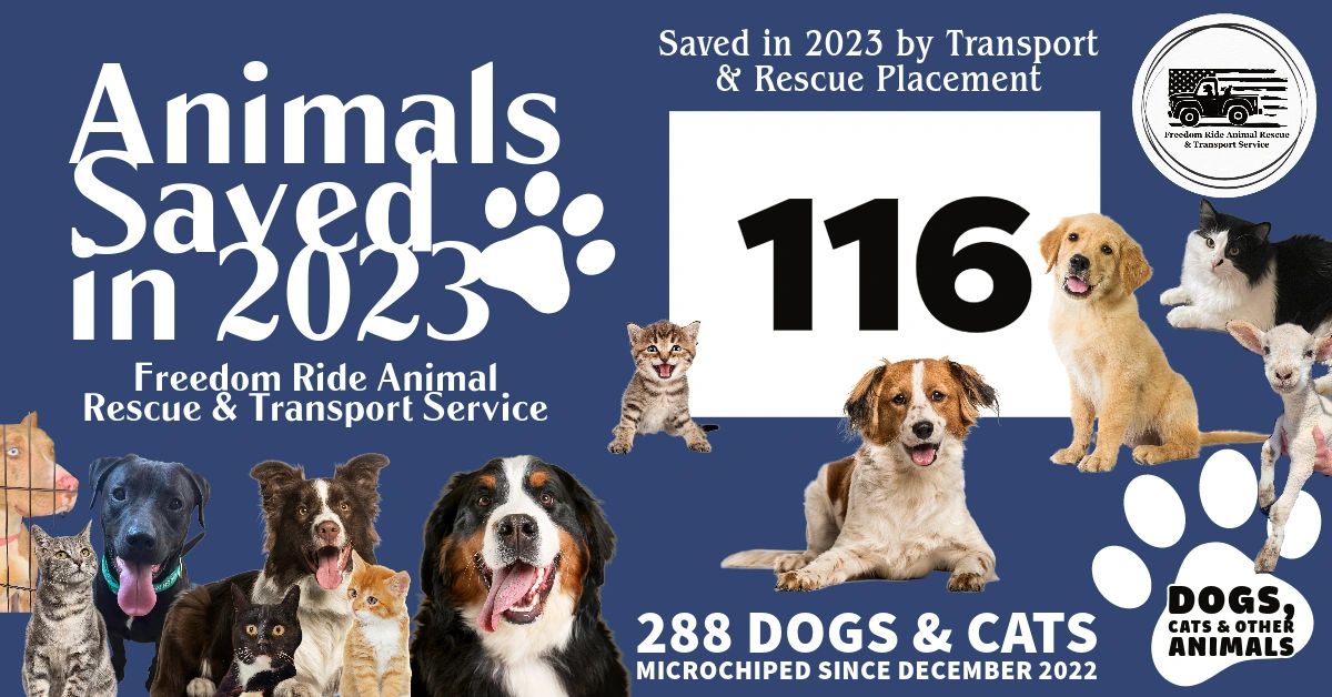 Freedom Ride Animal Rescue - Animal Rescue, Animal Transportation