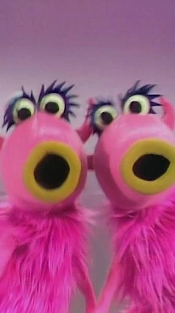 Two pink fluffy creatures with big eyes and open mouths.