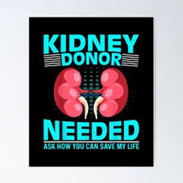 Kidney donor needed poster with kidneys illustration.