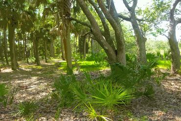 Bluffton SC VIII Print Reproduction