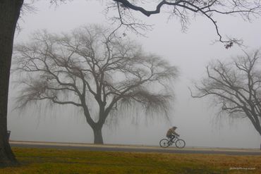 Foggy Cycle I Print Production
