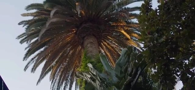 https://img1.wsimg.com/isteam/ip/23f7626f-ba23-40c3-b1f7-e51a28424414/thumbnails/thumbnail-b6557ffc-5ed4-405d-aa95-581fcfb2e8e8.png