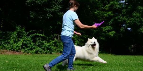 Sue is holding a purple stuffed toy, and Tripper is mid stride chasing it.