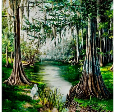Cypress trees on the side of a river with white birds around them. 