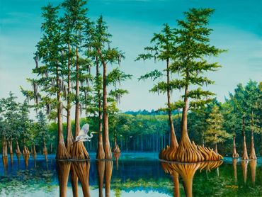 Blue Cypress Lake with cypress trees reflecting in the water