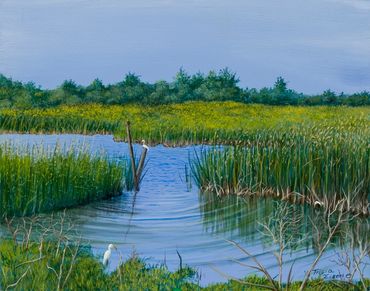 Swamp area of the wetlands with white egrets on the shores