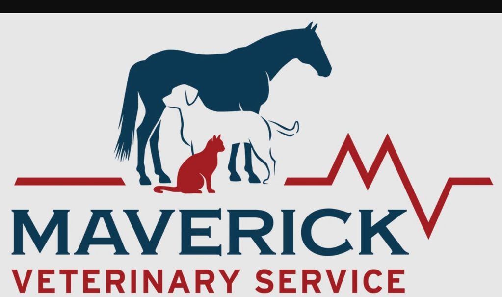 Maverick veterinary service 