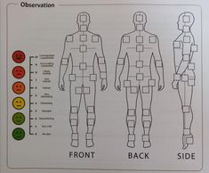 Trusted Bodywork Observation Diagram