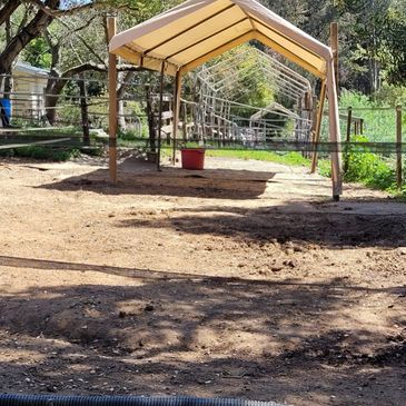 a horse pen with a canopy in it